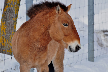 Similar image 21436644