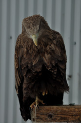 Similar image 21436645