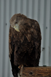 Similar image 21478770