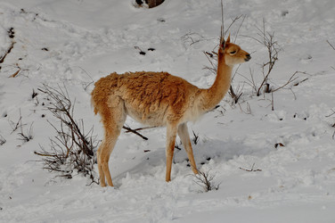 Similar image 21478771