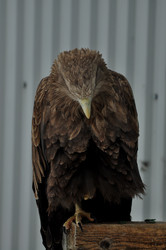 Similar image 21478772