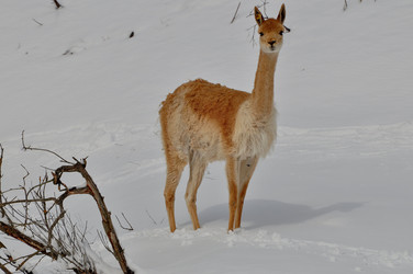 Similar image 21478773