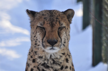 Similar image 21478774