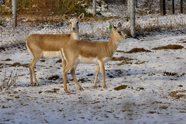 Similar image 21480724