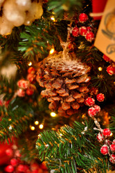 Similar image 21433521