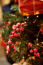 Similar image 21433522