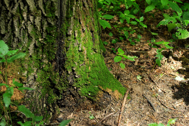 Similar image 21435882