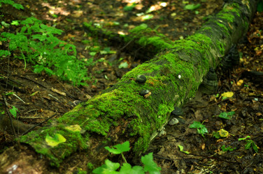 Similar image 21436444