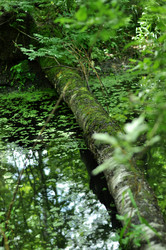 Similar image 21436448