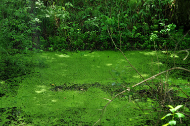 Similar image 21436647