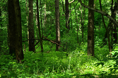 Similar image 21436649