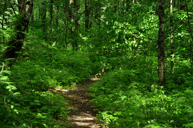 Similar image 21436650