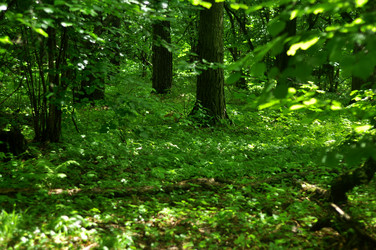 Similar image 21436651