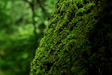 Similar image 21436652