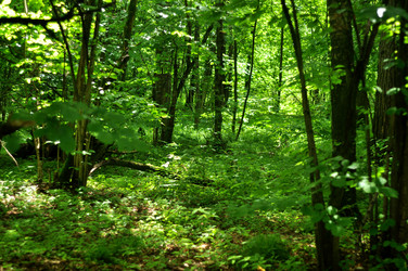 Similar image 21436654