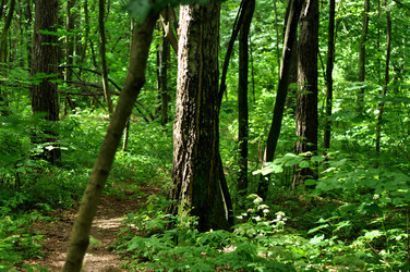 Similar image 21436655