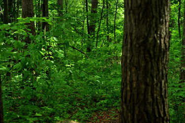 Similar image 21444724