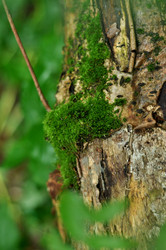 Similar image 21459016