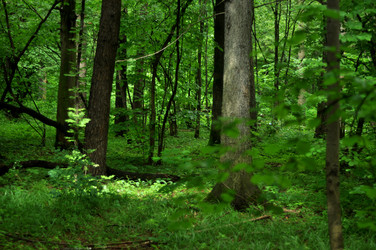 Similar image 21459017