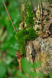 Similar image 21463053