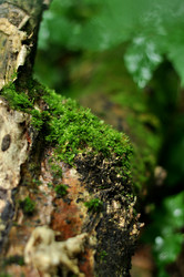 Similar image 21478775