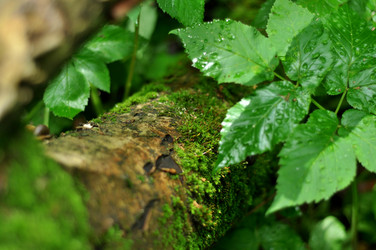 Similar image 21478777