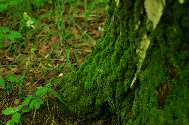 Similar image 21478778