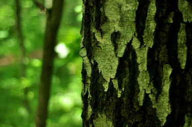 Similar image 21478779