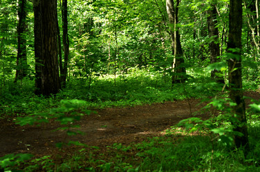 Similar image 21478780