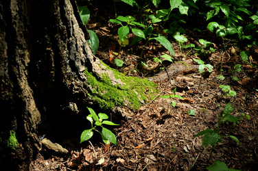 Similar image 21478781