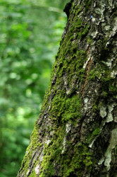 Similar image 21478783