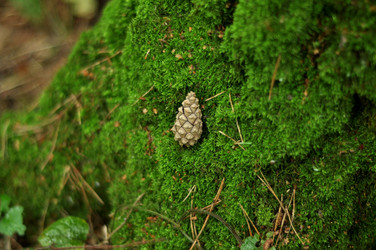 Similar image 21478785