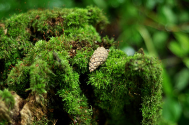 Similar image 21478786