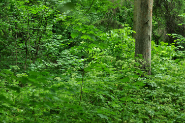 Similar image 21478788