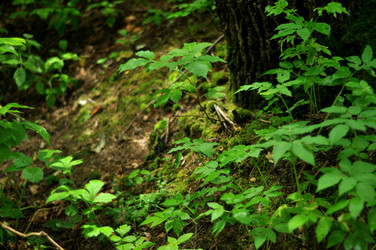 Similar image 21478789