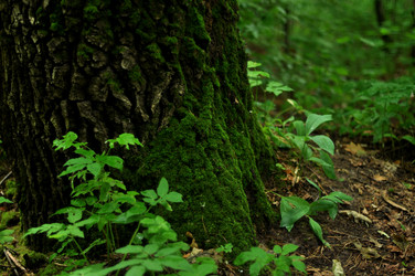 Similar image 21478790