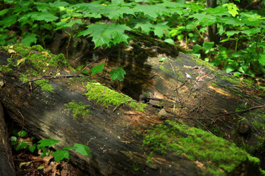 Similar image 21478791