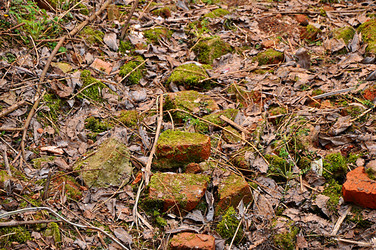 Similar image 21478793