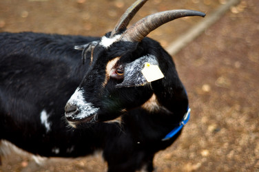 Similar image 21436656