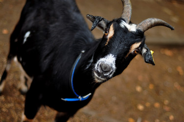 Similar image 21436658