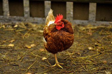 Similar image 21436660