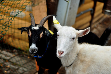 Similar image 21436661