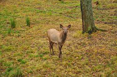 Similar image 21444725