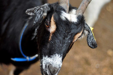 Similar image 21463054