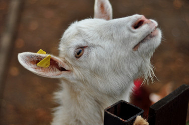 Similar image 21478794