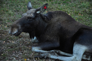 Similar image 21478795