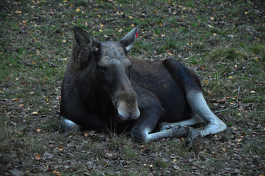 Similar image 21478796