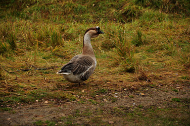 Similar image 21478797