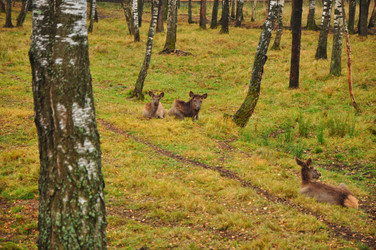 Similar image 21478798