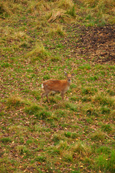 Similar image 21478800